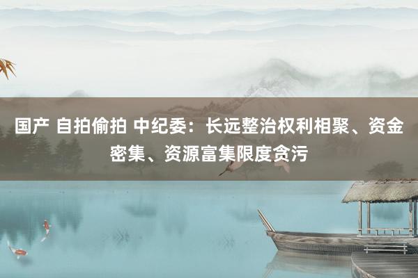 国产 自拍偷拍 中纪委：长远整治权利相聚、资金密集、资源富集限度贪污