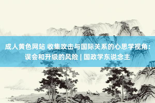 成人黄色网站 收集攻击与国际关系的心思学视角：误会和升级的风险 | 国政学东说念主