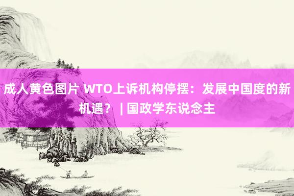 成人黄色图片 WTO上诉机构停摆：发展中国度的新机遇？ | 国政学东说念主