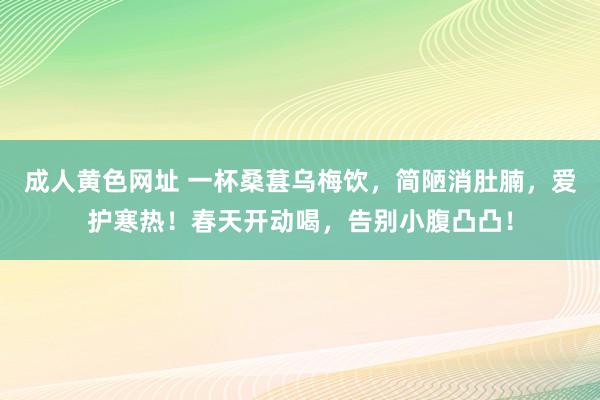 成人黄色网址 一杯桑葚乌梅饮，简陋消肚腩，爱护寒热！春天开动喝，告别小腹凸凸！