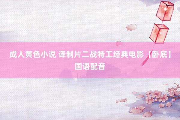 成人黄色小说 译制片二战特工经典电影【卧底】国语配音