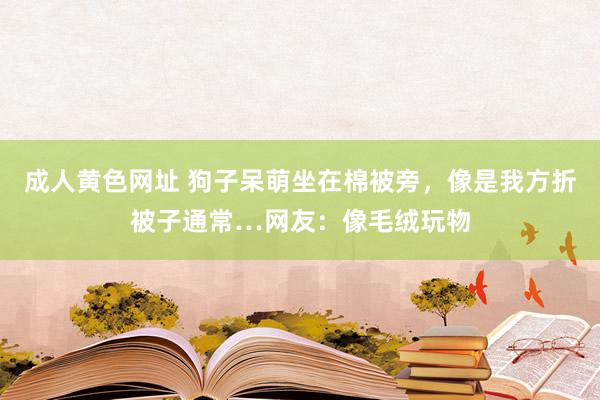 成人黄色网址 狗子呆萌坐在棉被旁，像是我方折被子通常…网友：像毛绒玩物