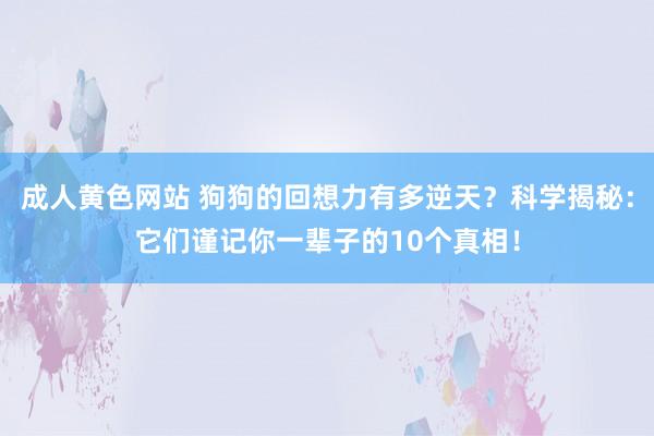 成人黄色网站 狗狗的回想力有多逆天？科学揭秘：它们谨记你一辈子的10个真相！